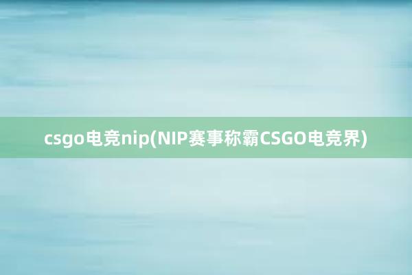 csgo电竞nip(NIP赛事称霸CSGO电竞界)