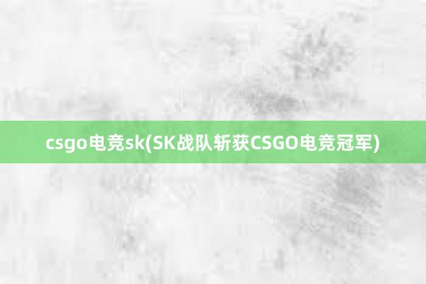 csgo电竞sk(SK战队斩获CSGO电竞冠军)