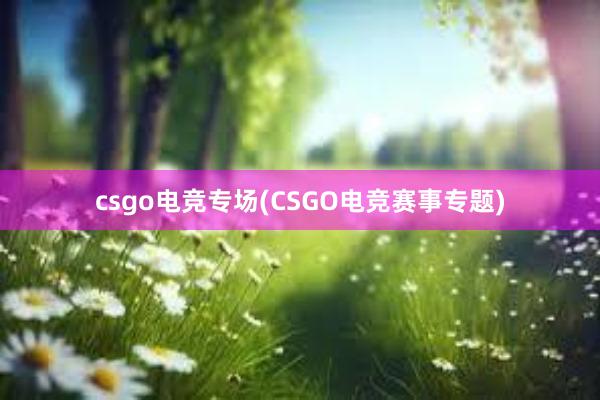 csgo电竞专场(CSGO电竞赛事专题)