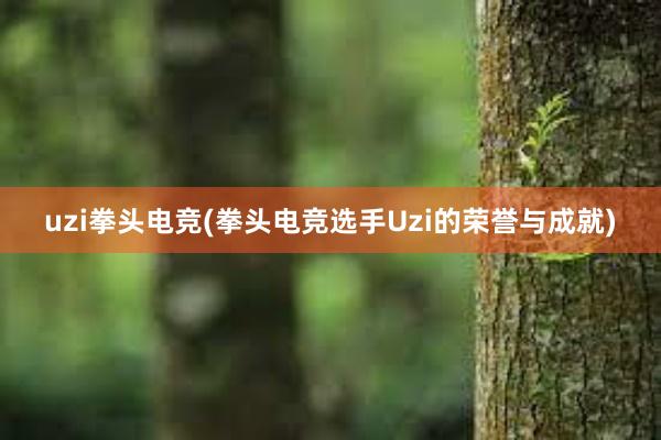 uzi拳头电竞(拳头电竞选手Uzi的荣誉与成就)