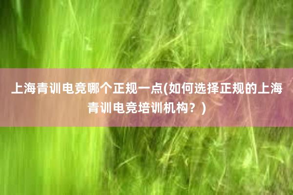 上海青训电竞哪个正规一点(如何选择正规的上海青训电竞培训机构？)