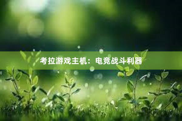 考拉游戏主机：电竞战斗利器