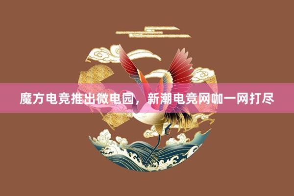 魔方电竞推出微电园，新潮电竞网咖一网打尽